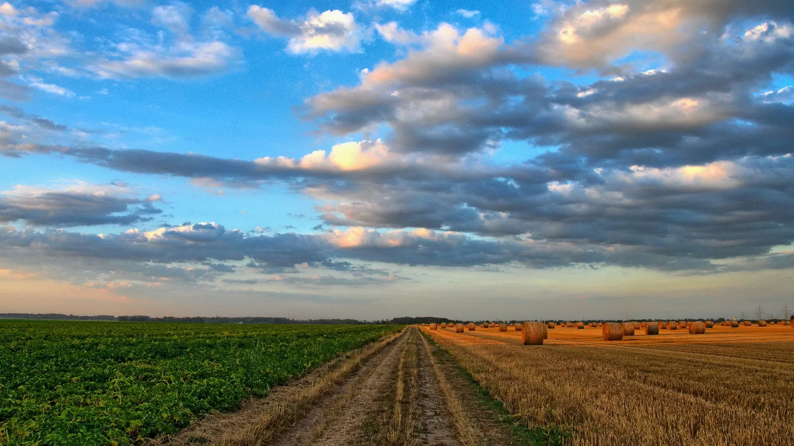 Chemin entre un champ cultivé et un champ moissonné parsemé de bottes de paille
