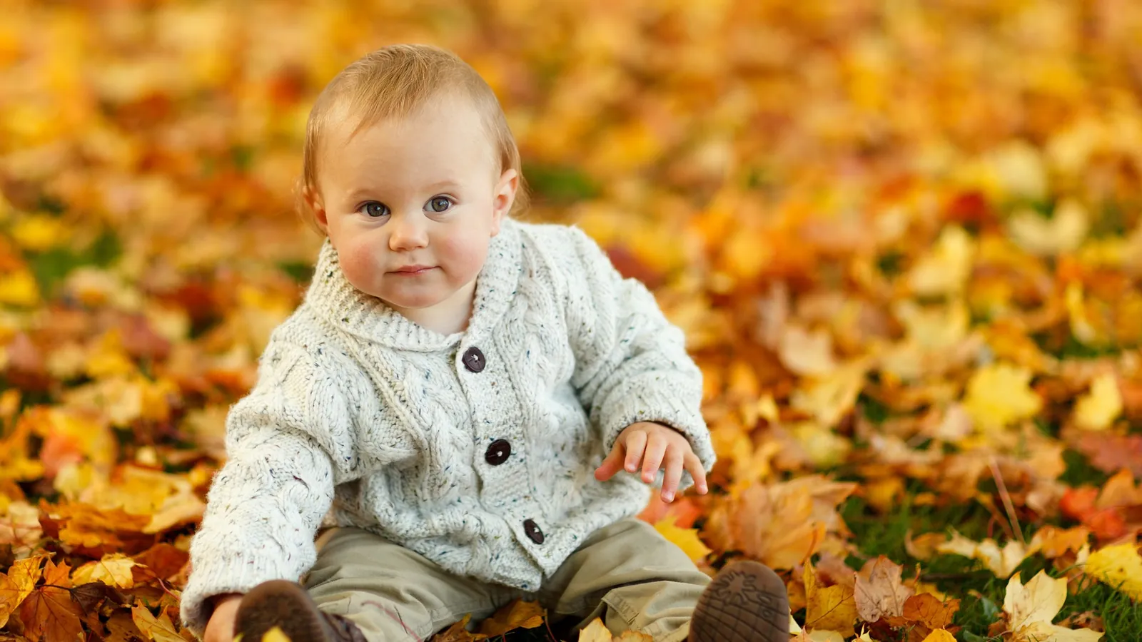 Jeune enfant assis dehors au milieu de feuilles d'automne, vêtu d'un gilet écru